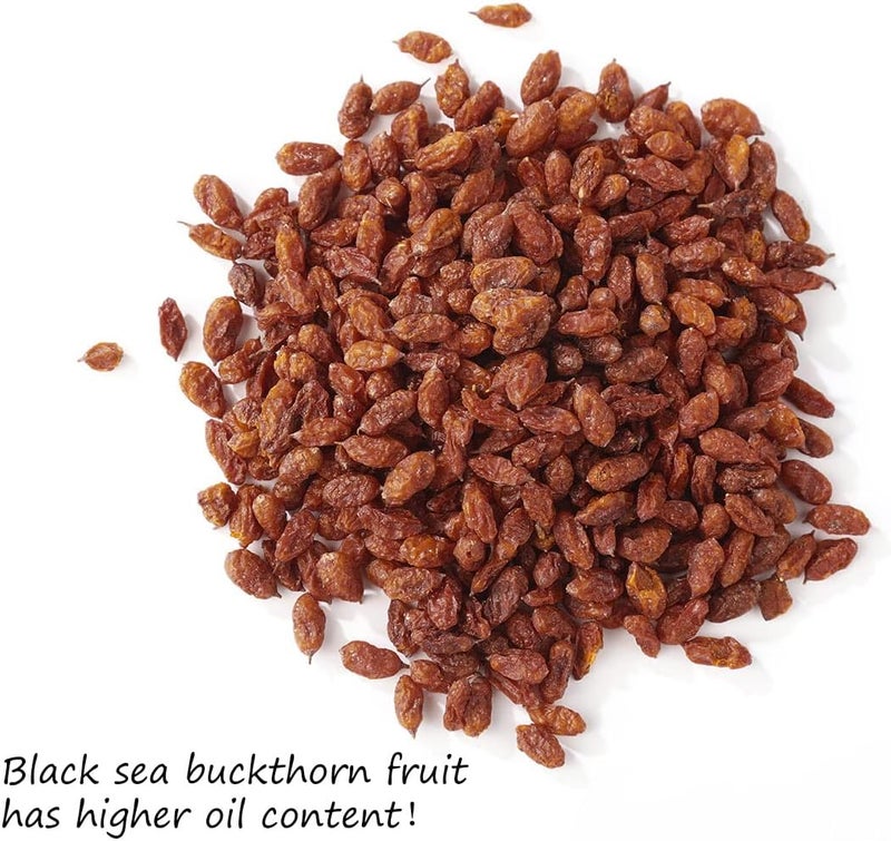 ULTHMOK Premium Dried Sea Buckthorn Berries 8 Oz - Image 3